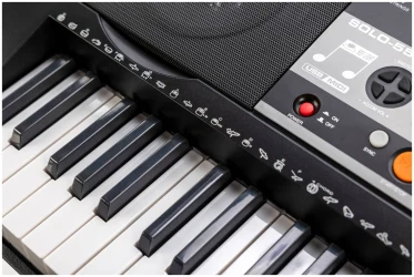 Veston SOLO-5561 L в Москве c доставкой