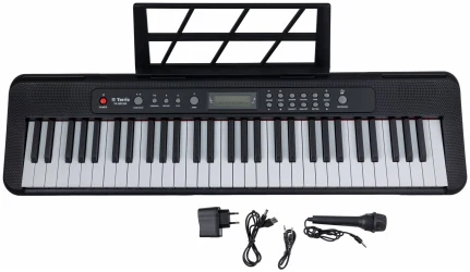 Terris TK-500 BK в Москве c доставкой