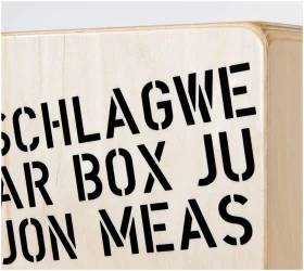 Schlagwerk CP400SB Star Box в Москве c доставкой