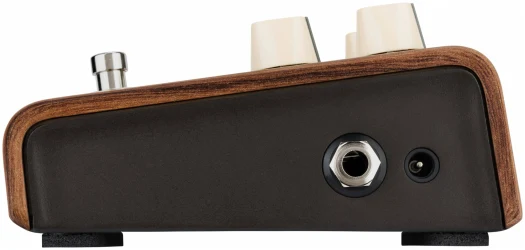 Lr Baggs Align Reverb в Москве c доставкой
