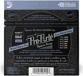 D'Addario EJ45 TT в Москве c доставкой