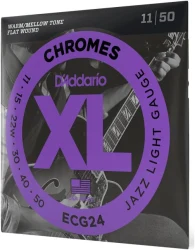 D'Addario ECG24 в Москве c доставкой