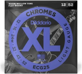 D'Addario ECG25 в Москве c доставкой
