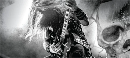 Dunlop ZAKK WYLDE EG-NKL 10/56-6/SET ZWEN1056 в Москве c доставкой