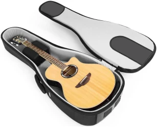 BagAndMusic Acoustic PRO в Москве c доставкой