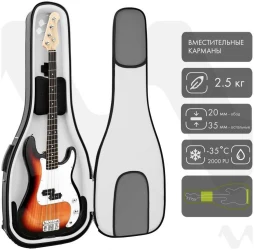 BagAndMusic Bass PRO Plus в Москве c доставкой