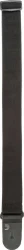 Planet Waves PWS 100 в Москве c доставкой