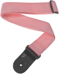 Planet Waves PWS 106 в Москве c доставкой