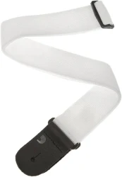 Planet Waves PWS 108 в Москве c доставкой