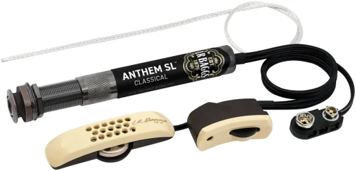 Lr Baggs Anthem SL C в Москве c доставкой