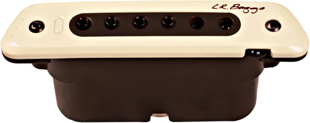 Lr Baggs M80 в Москве c доставкой