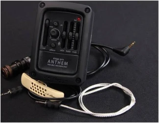 Lr Baggs StagePro Anthem в Москве c доставкой