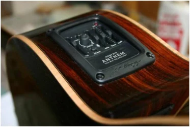 Lr Baggs StagePro Anthem в Москве c доставкой