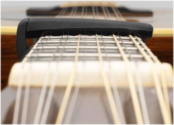 Planet Waves PW-CP-19 в Москве c доставкой