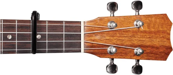 Planet Waves PW-CP-12 в Москве c доставкой