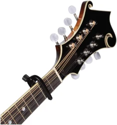 Planet Waves PW-CP-11 в Москве c доставкой