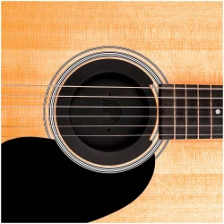 Planet Waves PW-SH-01 в Москве c доставкой