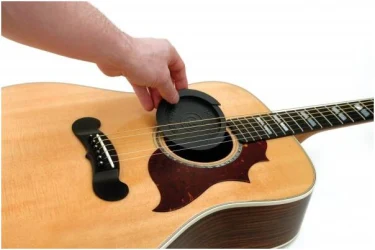 Planet Waves PW-SH-01 в Москве c доставкой