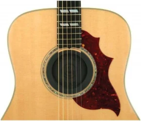 Planet Waves PW-SH-01 в Москве c доставкой