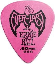 Ernie Ball 9179 Everlast в Москве c доставкой