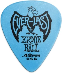 Ernie Ball 9181 Everlast в Москве c доставкой