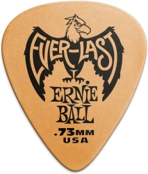 Ernie Ball 9190 Everlast в Москве c доставкой