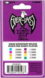 Ernie Ball 9193 Everlast в Москве c доставкой