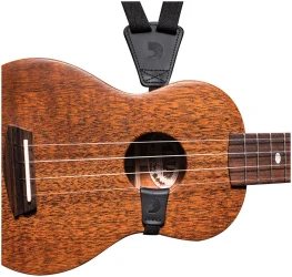Planet Waves 19UKE в Москве c доставкой
