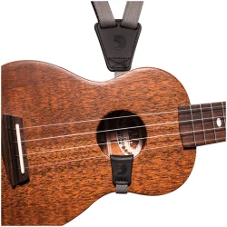 Planet Waves 19UKE 2 в Москве c доставкой