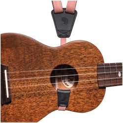 Planet Waves 19UKE 4 в Москве c доставкой