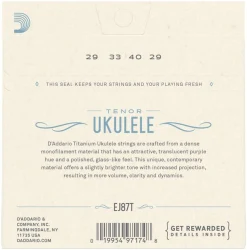 D'Addario EJ87 T в Москве c доставкой