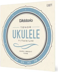 D'Addario EJ87 T в Москве c доставкой