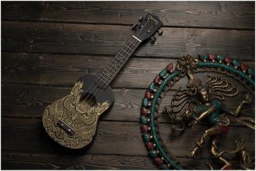 Veston KUS 25 OWL в Москве c доставкой