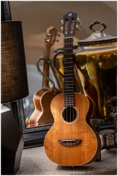 Flight IRIS Concert Calantas в Москве c доставкой