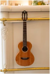 Flight IRIS Concert Calantas в Москве c доставкой