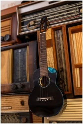 Flight NIGHTHAWK CONCERT EQ-A в Москве c доставкой