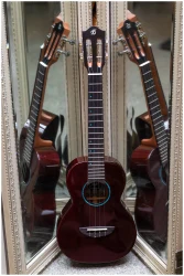 Flight IRIS Tinta Tenor TPP в Москве c доставкой