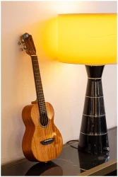 Flight IRIS Tinta Tenor NA в Москве c доставкой
