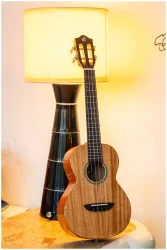 Flight IRIS Tinta Tenor NA в Москве c доставкой