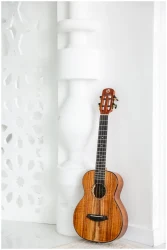 Flight PHANTOM TENOR EQ-A в Москве c доставкой