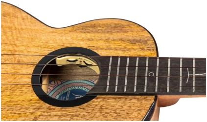 Flight SONGBIRD TENOR MANGO EQ-A в Москве c доставкой