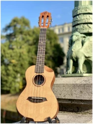 Flight VICTORIA TENOR SOUNDWAVE в Москве c доставкой