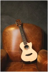 Flight VICTORIA TENOR EQ-A в Москве c доставкой