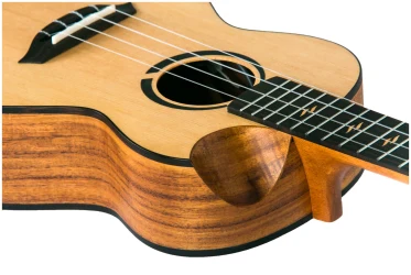 Flight VICTORIA TENOR EQ-A в Москве c доставкой