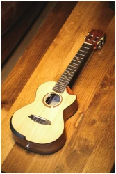 Flight VICTORIA TENOR EQ-A в Москве c доставкой
