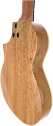 Flight AVIATOR Spruce Tenor BK CE в Москве c доставкой