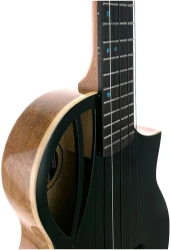 Flight AVIATOR Spruce Tenor BK CE в Москве c доставкой
