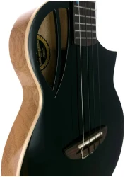Flight AVIATOR Spruce Tenor BK CE в Москве c доставкой