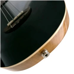 Flight AVIATOR Spruce Tenor BK CE в Москве c доставкой