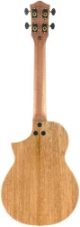 Flight AVIATOR Spruce Tenor BK CE в Москве c доставкой